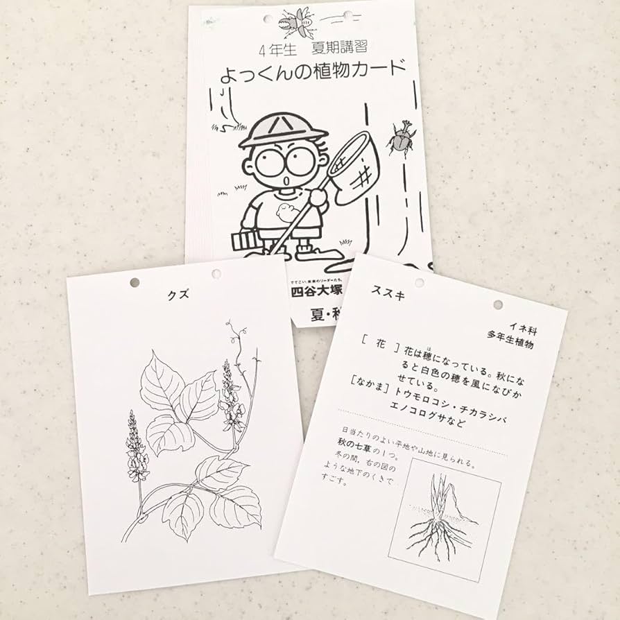 Amazon.co.jp: 四谷大塚☆予習シリーズ 4年 カード セット